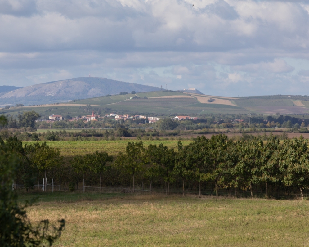 Prodáno-zahrada - Velké Bílovice